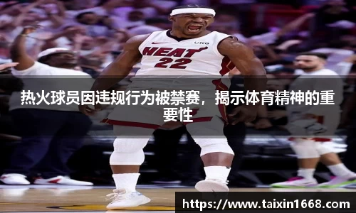 BB贝博登录入口