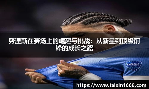 BB贝博登录入口