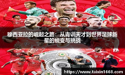 BB贝博登录入口