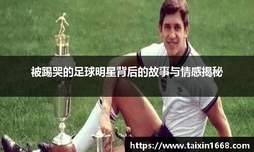 BB贝博登录入口