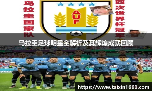 BB贝博登录入口